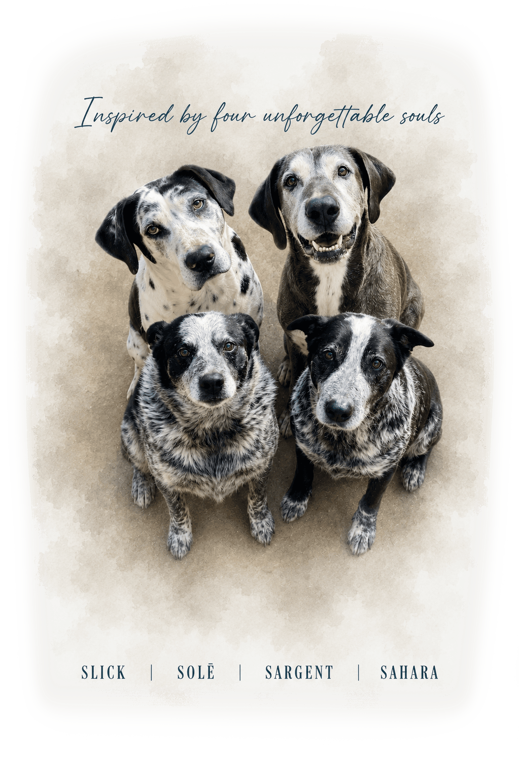 A beloved older dog with their owner, the bond The 4S Legacy honours