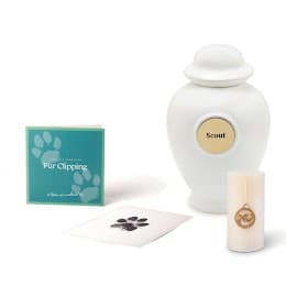 Package B: Ceramic Package
